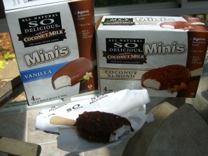 coconut-ice-cream-mini