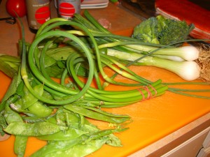 garlic scapes, spring onions, snow peas, bok choy, broccoli