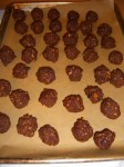 Chocolate Cranberry Nut Truffles on Parchment